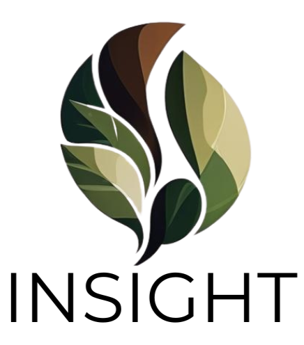 Insight logo