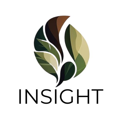 Insight logo
